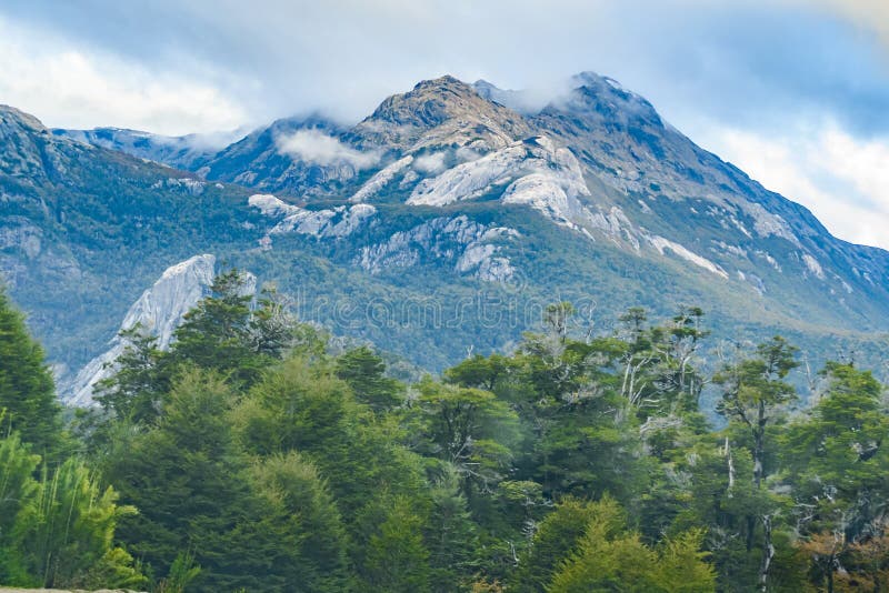 Rige hellige kig ind Patagonia Forest Landscape, Chile Stock Image - Image of south, andes:  104559497
