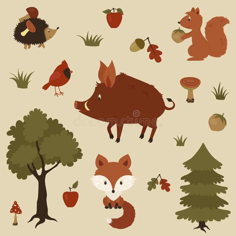 Forest animals illustration