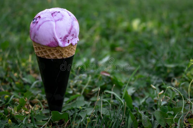 A forest berries ice cream is place in grass