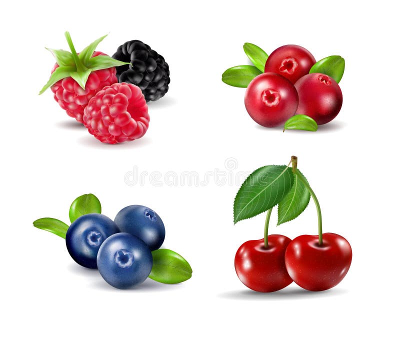 Forest berry. Sweet fruit. Realistic illustration. 3d vector icon set vector illustration Forest berry. Sweet fruit. Realistic illustration. 3d vector icon set vector illustration