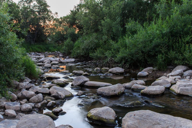 Evening Brook Trout stock photo. Image of trout, brook 1004126