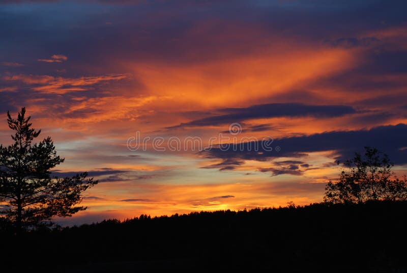 Forest on dark orange clouds background stock image Forest on dark orange clouds background stock image