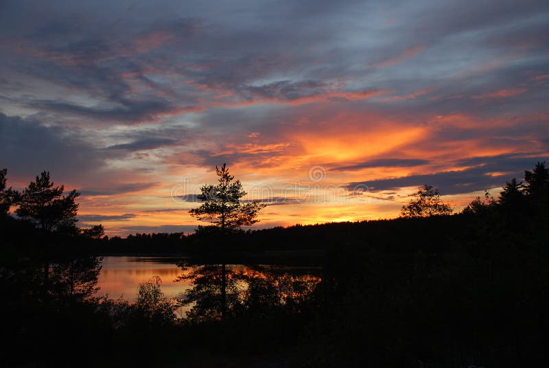 Forest on dark orange clouds background stock photos Forest on dark orange clouds background stock photos