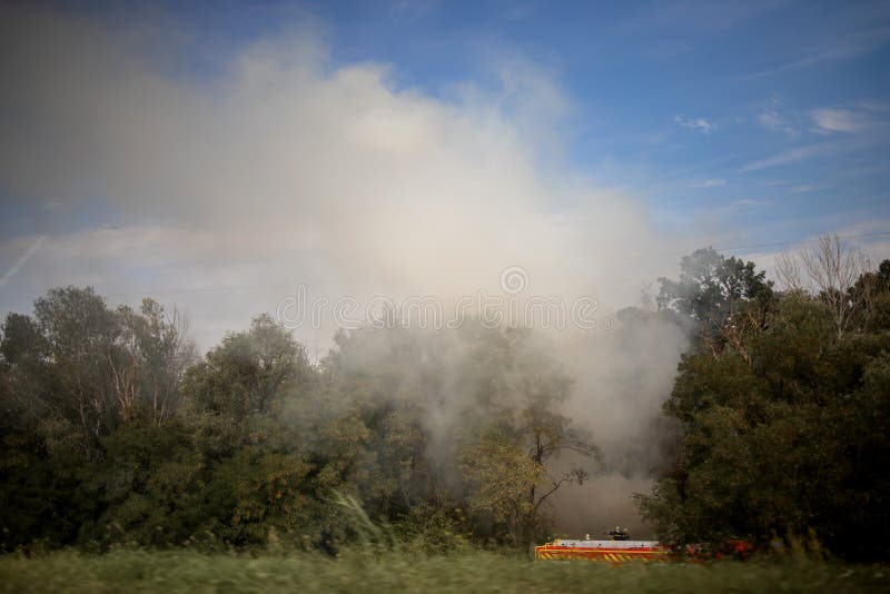 Forest Fire. Burnt Trees after Forest Fires, Pollution and a Lot of