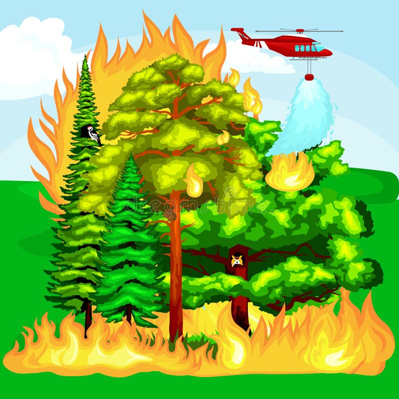 Forest Fire vector illustration Forest Fire vector illustration