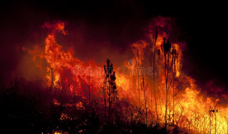 Forest Fire nästan ett hus arkivbild Forest Fire nästan ett hus arkivbild