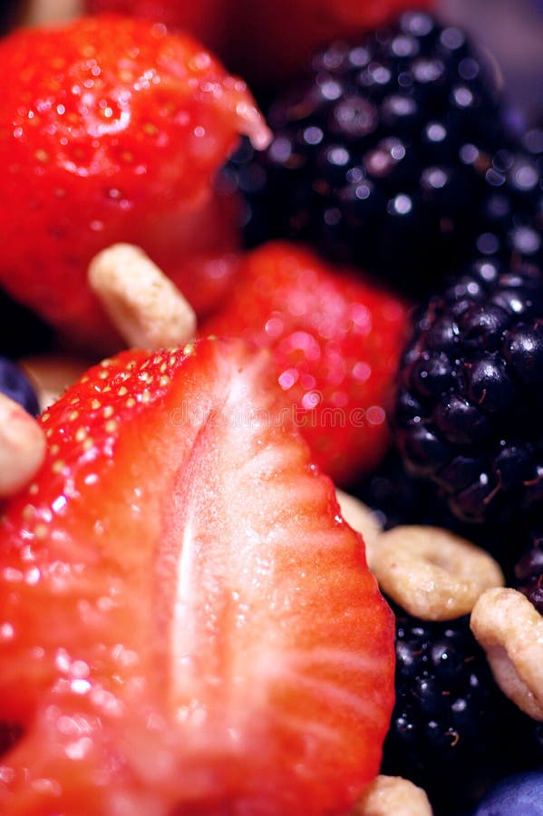 Forest fruits - berries