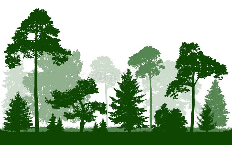 Forest Treeline Silhouette Stock Illustrations – 16 Forest