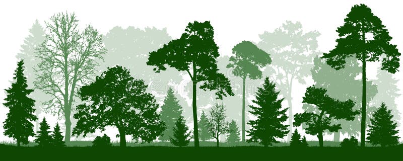 Forest green trees silhouette. Nature, park, landscape.