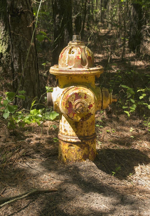 Forest Hydrant foto de stock Forest Hydrant foto de stock
