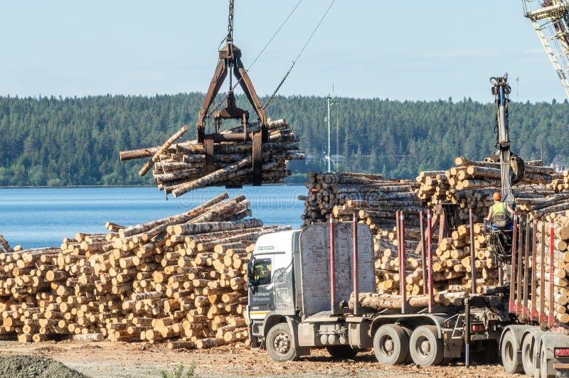 Forest industry. Operations for loading-unloading logging truck stock photos