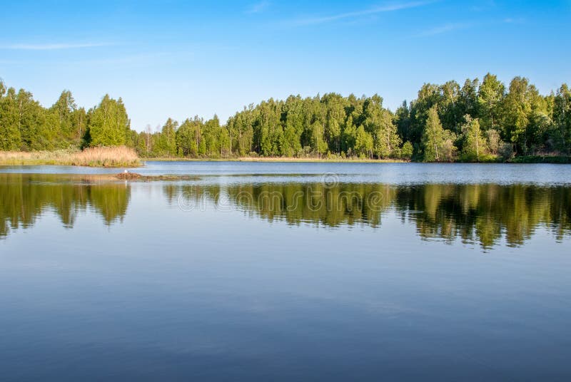 Forest Lake With Reflection Of Trees And Sky With Clouds Stock Photo