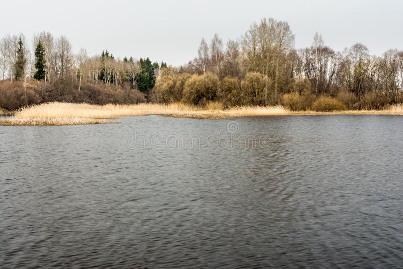 A Forest Lake and the Sky with Clouds, Cloudy Weather in Early Spring