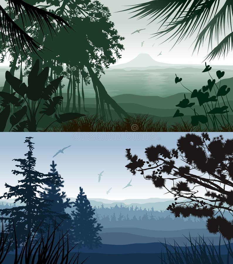 Forest Landscape stock illustration
