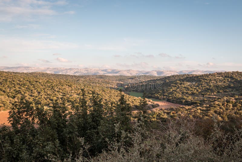 Forest landscape in Israel with clouds, trees, mountains and blue sky royalty free stock photography Forest landscape in Israel with clouds, trees, mountains and blue sky royalty free stock photography