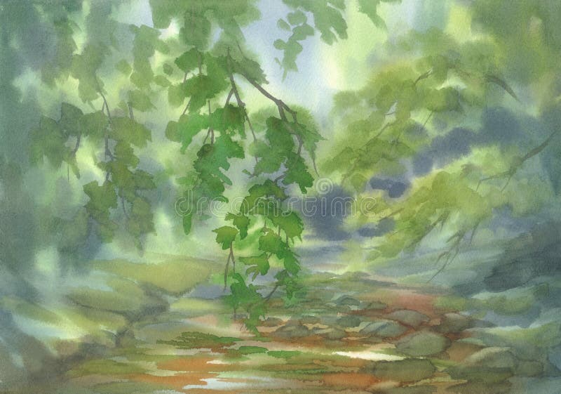 Forest landscape with stones watercolor background. Green summer