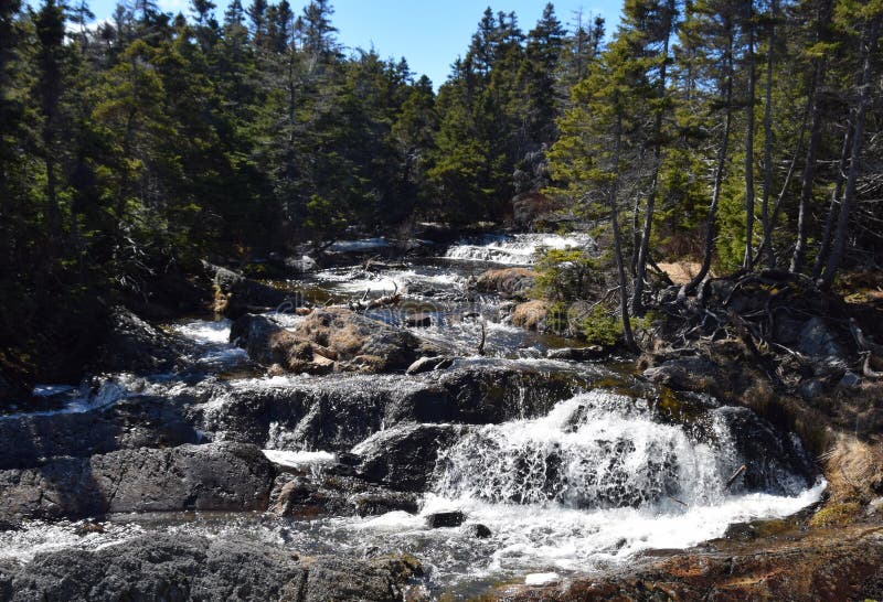 Forest landscape with a waterfall surrounded by evergreen trees, Motion River Torbay Newfoundland Canada