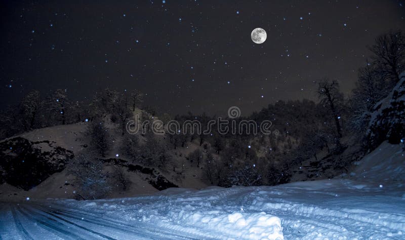 Forest on a meadow full of snow in high mountains with snowy tops at night in full moon light. Azerbaijan. Lerik