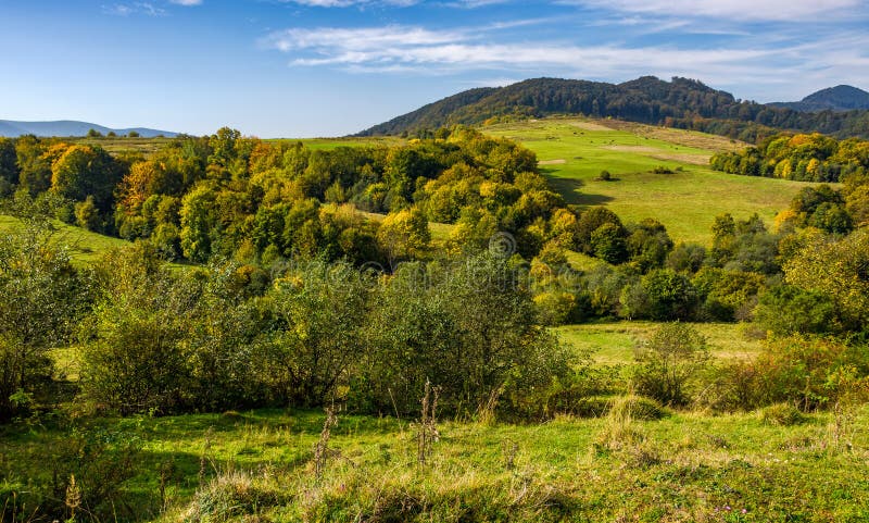 forest and meadow on hills in mountainous countryside stock image forest and meadow on hills in mountainous countryside stock image