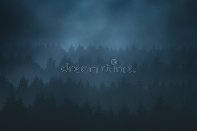 Forest in the mountain at night with dark trees