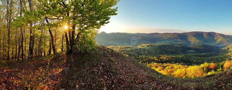 Forest - mountain panoramic view