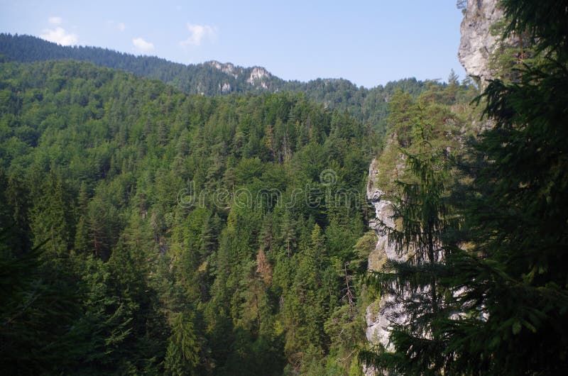 Forest mountain slovakia view from the trail