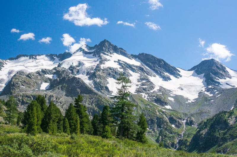 Forest in the mountains of Siberia royalty free stock photos Forest in the mountains of Siberia royalty free stock photos