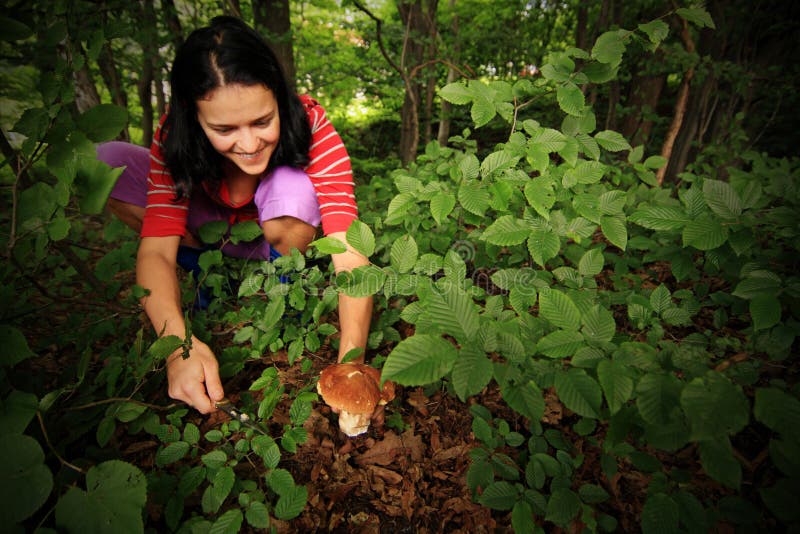 Forest Mushroom Picking