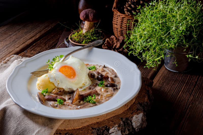 Forest mushroom sauce with fresh mushrooms, potato and poached. Fried, cooking.