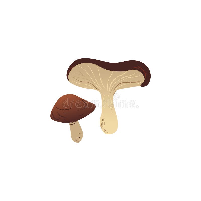 Cartoon Fungus Stock Illustrations – 7,628 Cartoon Fungus Stock ...