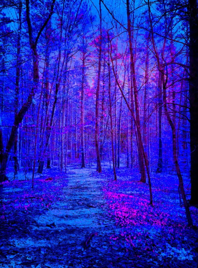 Aliens Coming in Dark Blue and Purple Forest Stock Photo - Image of ...