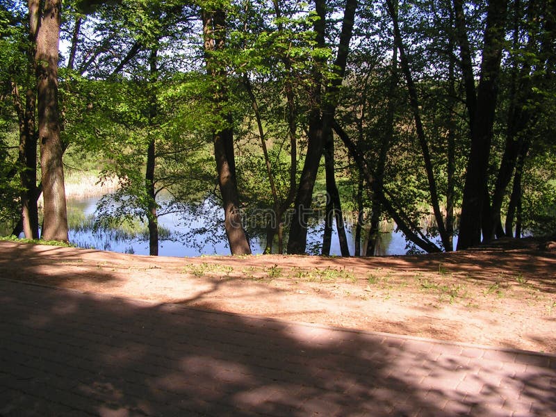 3 Forest Park „DROZDY „в Минске Беларуси стоковое изображение 3 Forest Park „DROZDY „в Минске Беларуси стоковое изображение