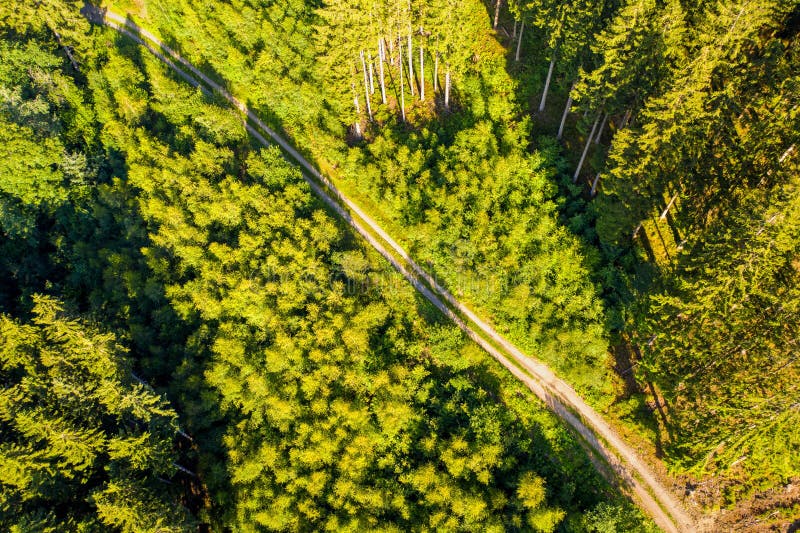 Green Forest Hill Landscape As a High Definition Panorama Stock Photo -  Image of nature, landscape: 199618368