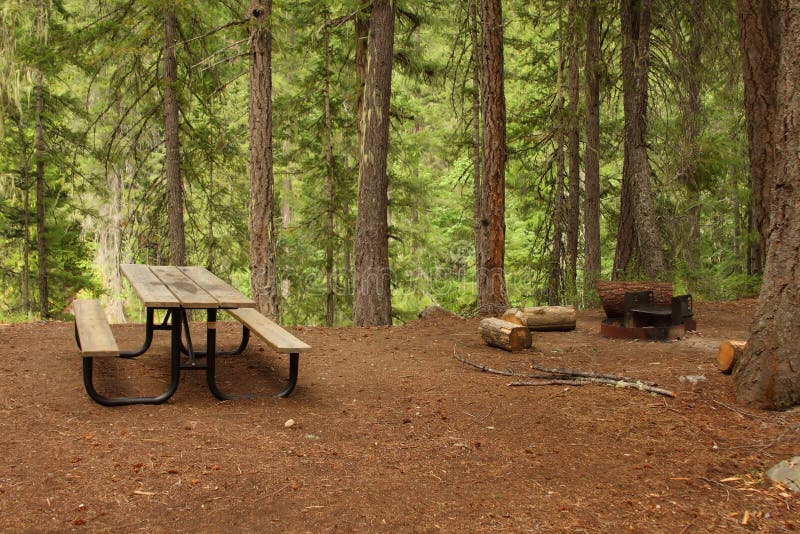 Forest Picnic Area stock photo. Image of nature, field ... Forest Picnic Area stock photo. Image of nature, field ...