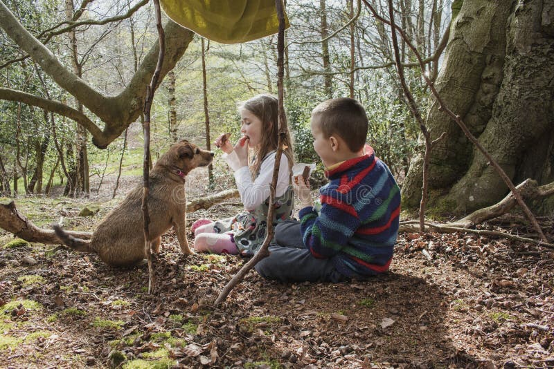 Forest Picnic With Greedy Dog stock afbeelding Forest Picnic With Greedy Dog stock afbeelding