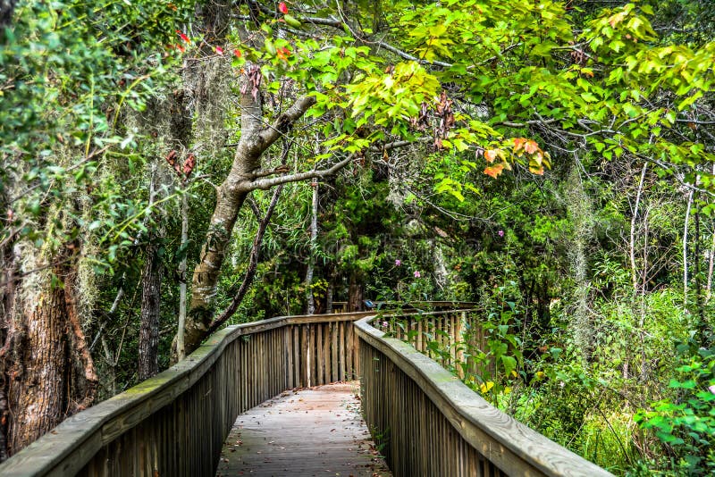 Forest preserve of the Hilton Head Island. One of many narrow bridge-paths in the woods of Sea Pines Resort, HHI, South Carolina. Wooden path bridge in Hilton royalty free stock photography Forest preserve of the Hilton Head Island. One of many narrow bridge-paths in the woods of Sea Pines Resort, HHI, South Carolina. Wooden path bridge in Hilton royalty free stock photography