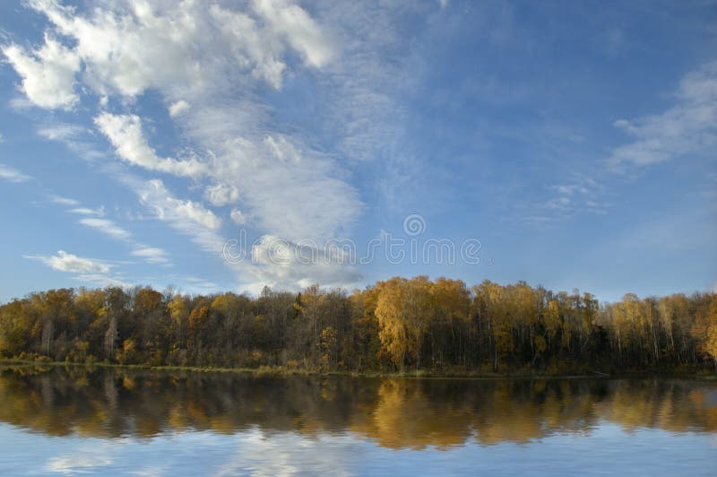 Forest reflected in lake stock photo