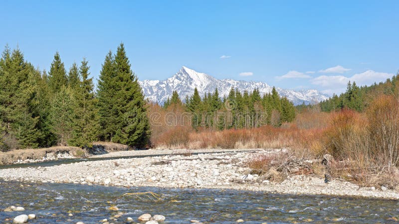 Forest river Bela with small round stones and coniferous trees and brown bushes on both sides, sunny day, Krivan peak - Slovak