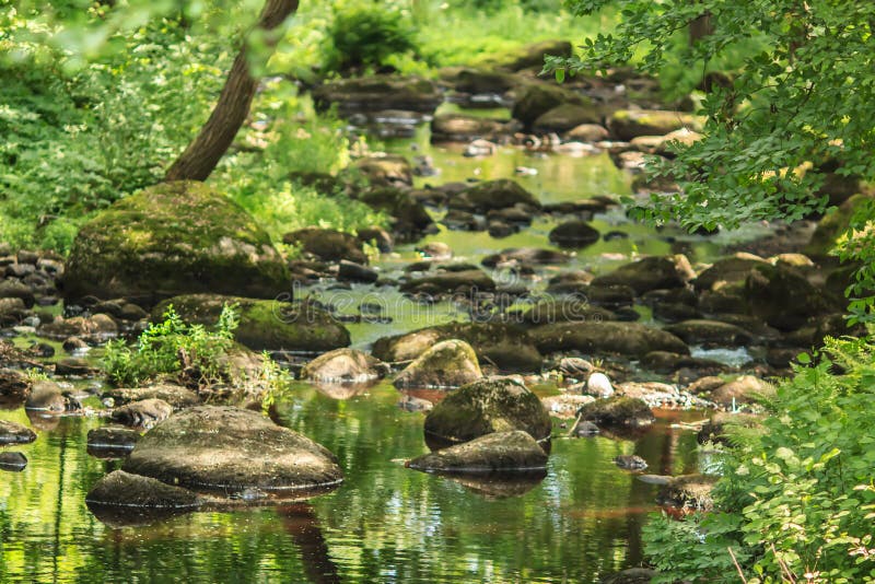Forest river and stones royalty free stock photos Forest river and stones royalty free stock photos
