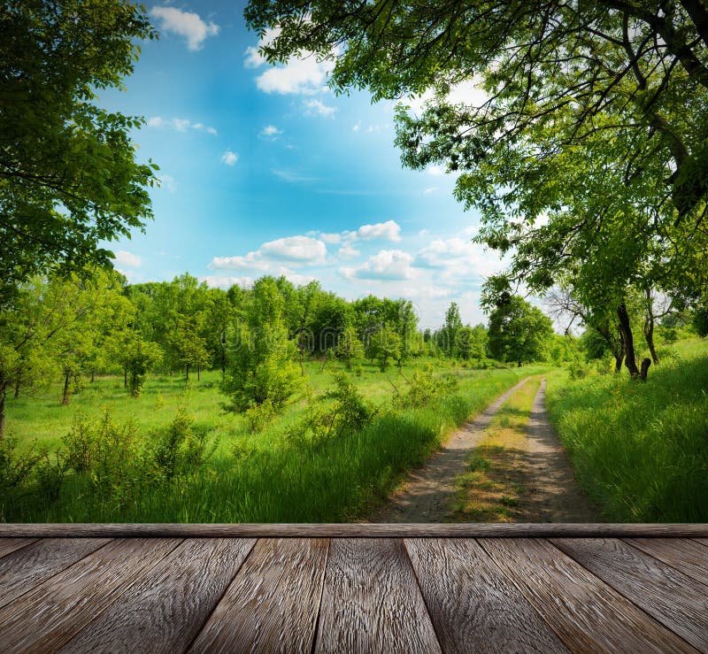 Forest road and blue sky