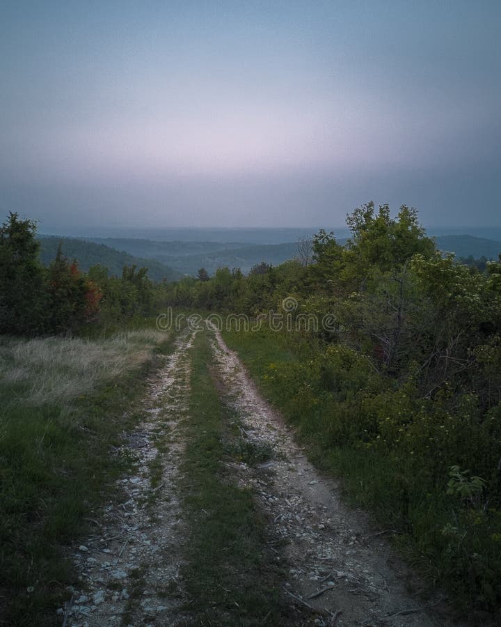 Forest road stock image. Image of road, light, green 151323611