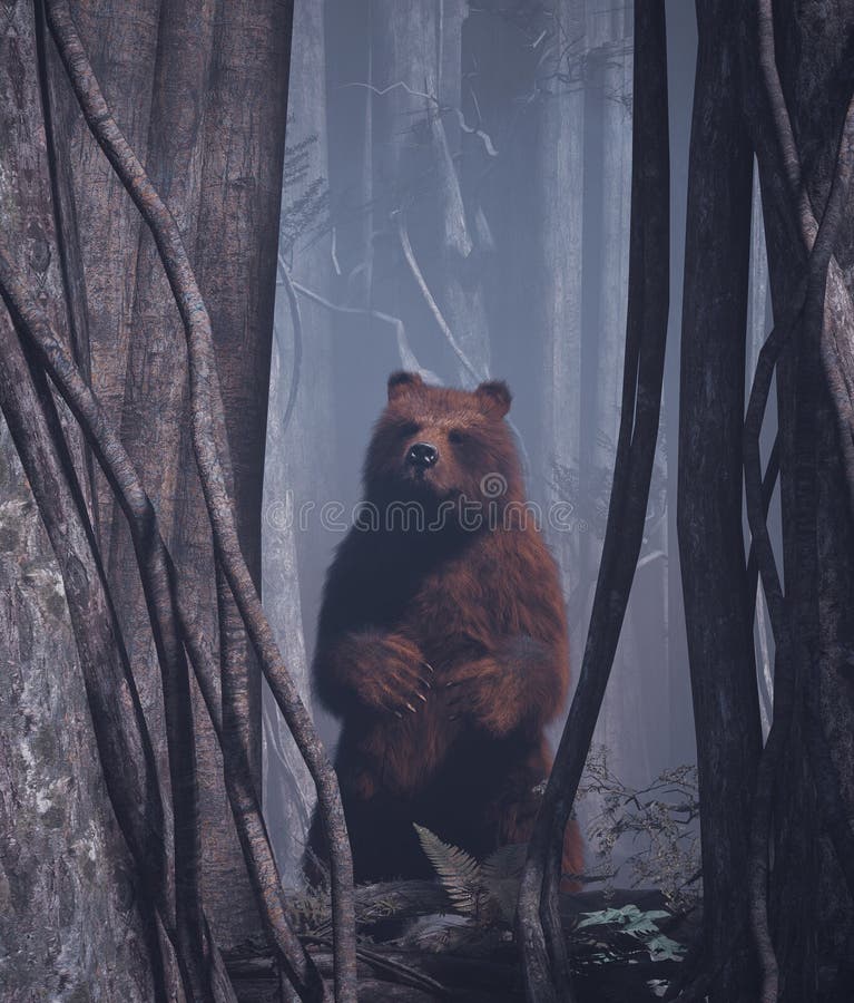 fantasy forest story drizzly bear fantasy forest story drizzly bear