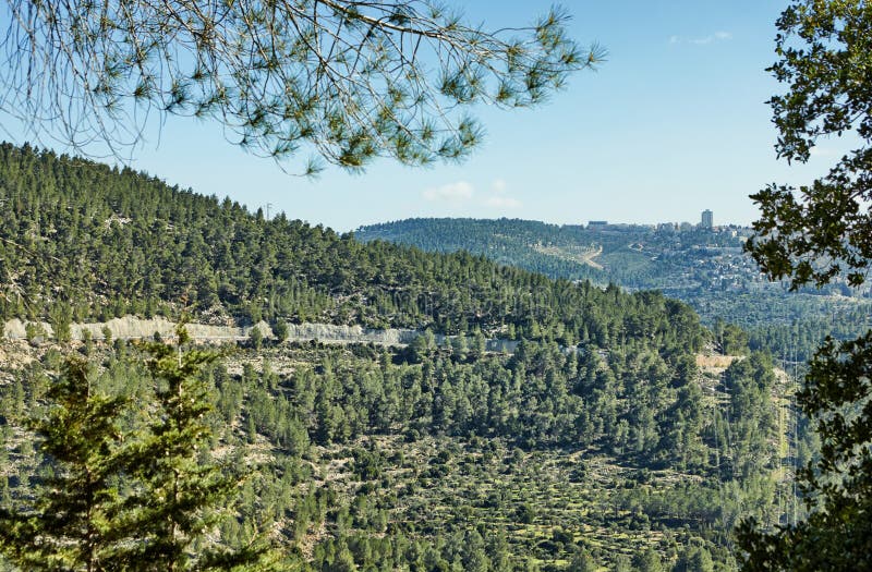 Forest of Sataf west of Jerusalem Israel. A beautiful area of hiking