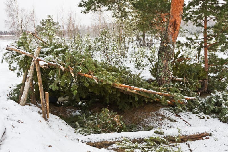 Forest shelter