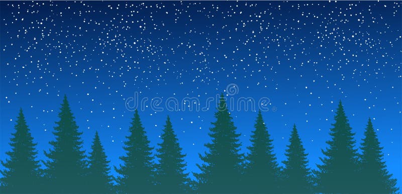 Forest silhouette against the background of the night summer sky with stars. Spruce forest, pine trees in a row. Natural