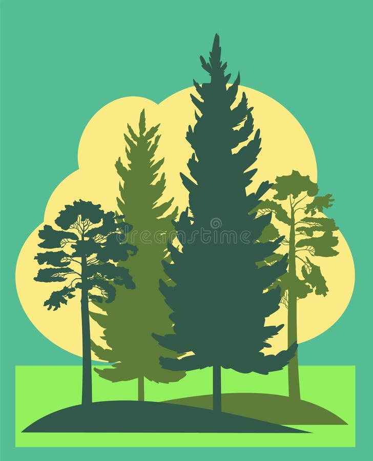 Forest Silhouette. Landscape with coniferous trees. Beautiful view. Pine and spruce trees. Summer natural scene