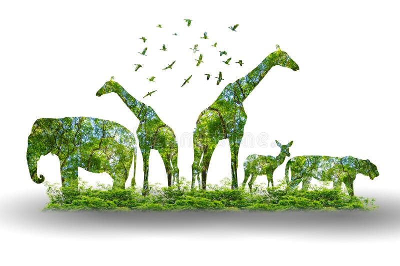 Forest silhouette in the shape of a wild animal wildlife and forest conservation concept vector illustration Forest silhouette in the shape of a wild animal wildlife and forest conservation concept vector illustration