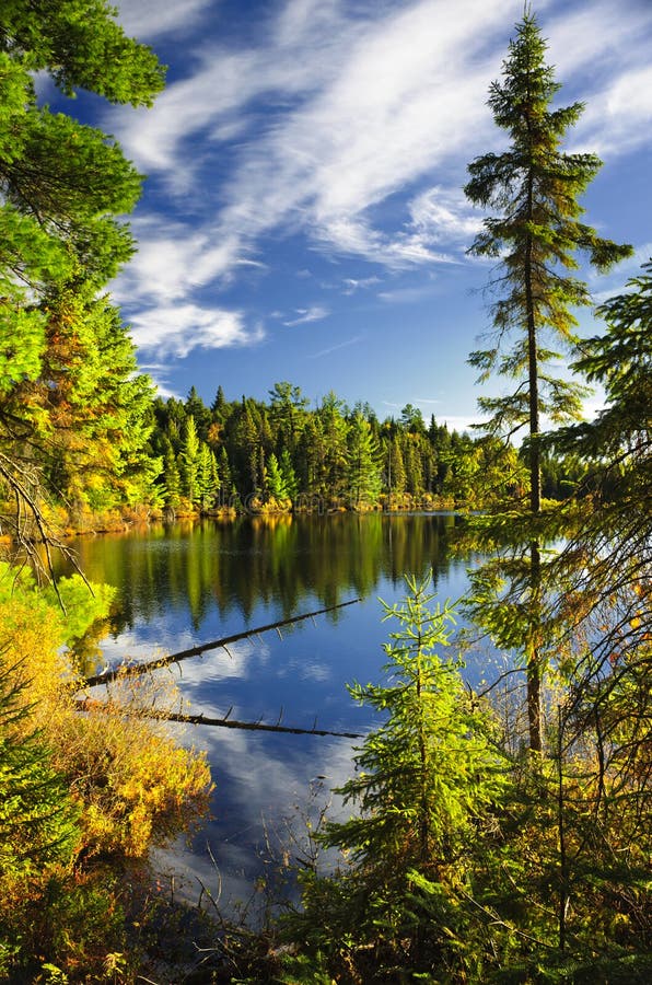 Forest and sky reflecting in lake stock photos Forest and sky reflecting in lake stock photos