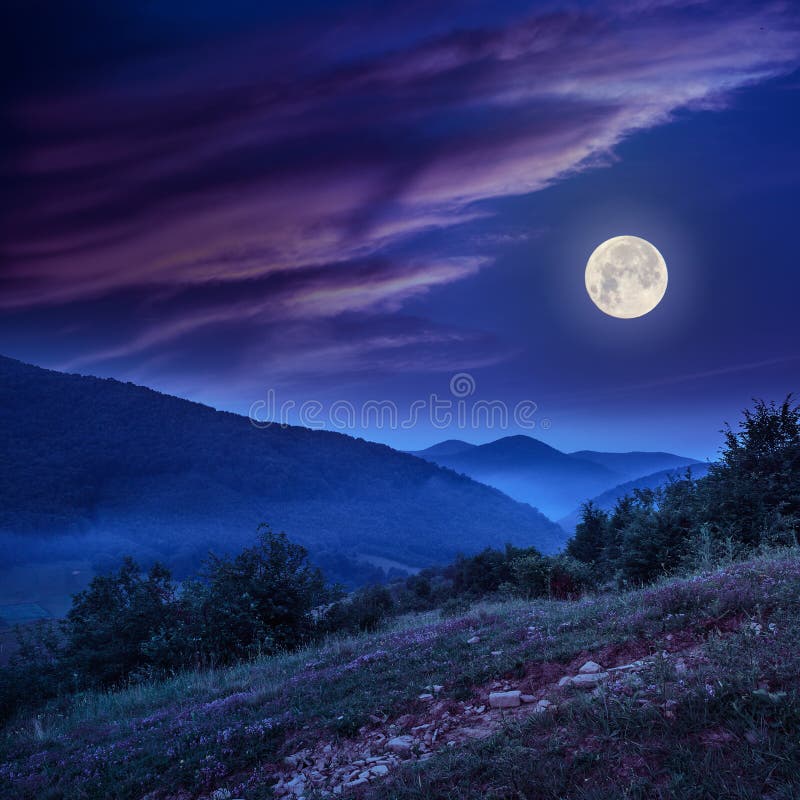 Forest on a steep mountain slope