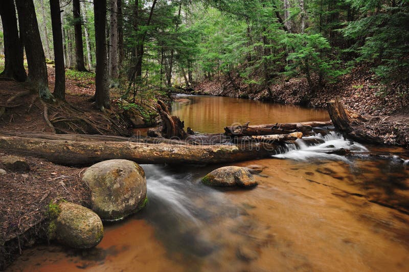 Forest Stream near Marquette, Michigan.